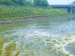 高阳污水清运多少钱